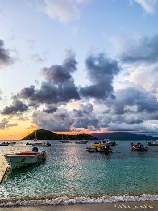 Villa Ker Iguane Terre De Haut Les Saintes ภายนอก รูปภาพ