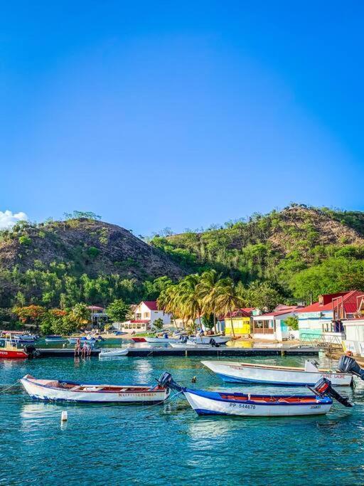 Villa Ker Iguane Terre De Haut Les Saintes ภายนอก รูปภาพ